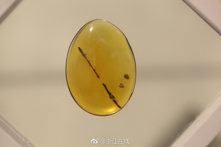 Ixxxx偷拍公共厕所