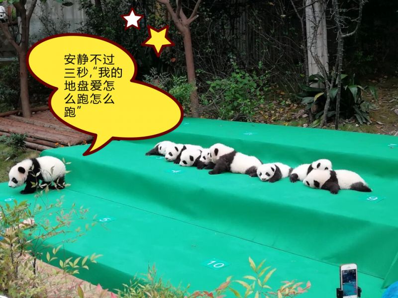 青奸