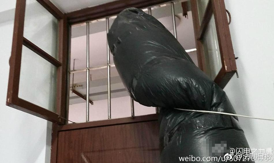 啪啪免费网站