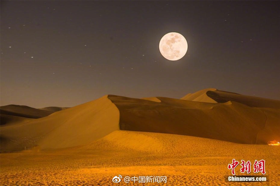 免费的成年A级毛片免费看