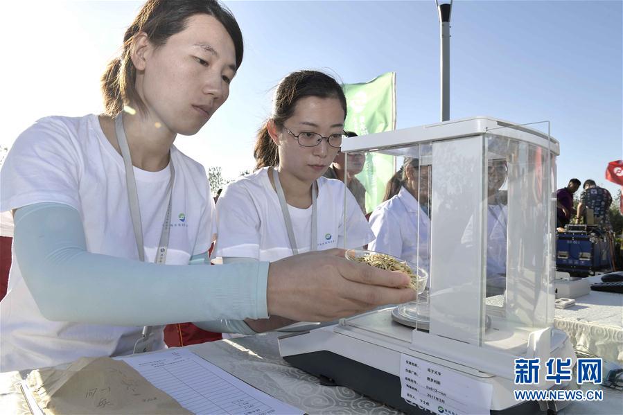 男女啪啪动态图