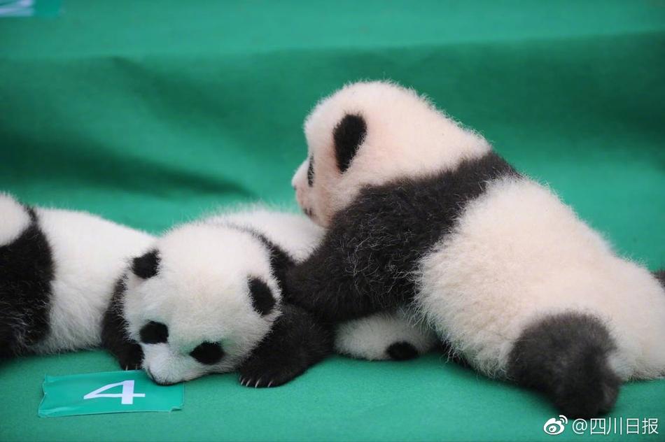 东北短篇亂伦合集