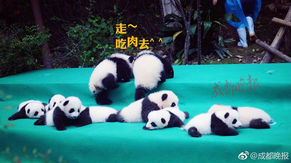 黄花女一级毛片