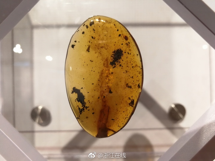 成人超碰