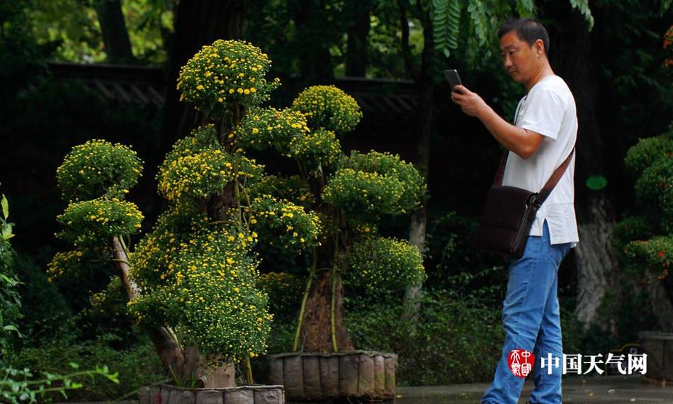 柳州莫菁门系列
