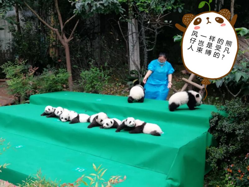 GAY片男同网站www免费