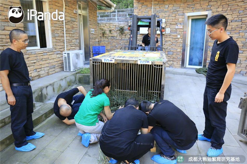 国产在线观看每日更新Av