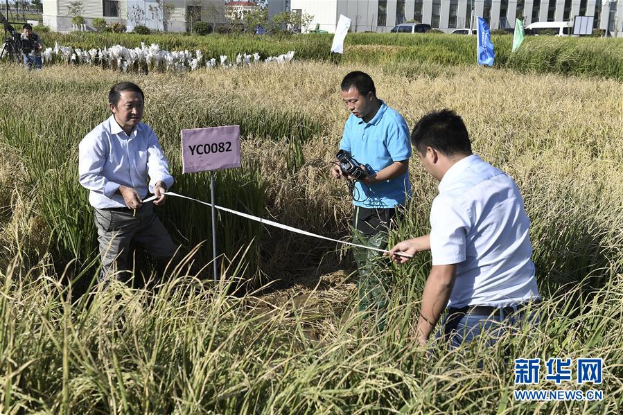 蘑菇mogu官网入口更新
