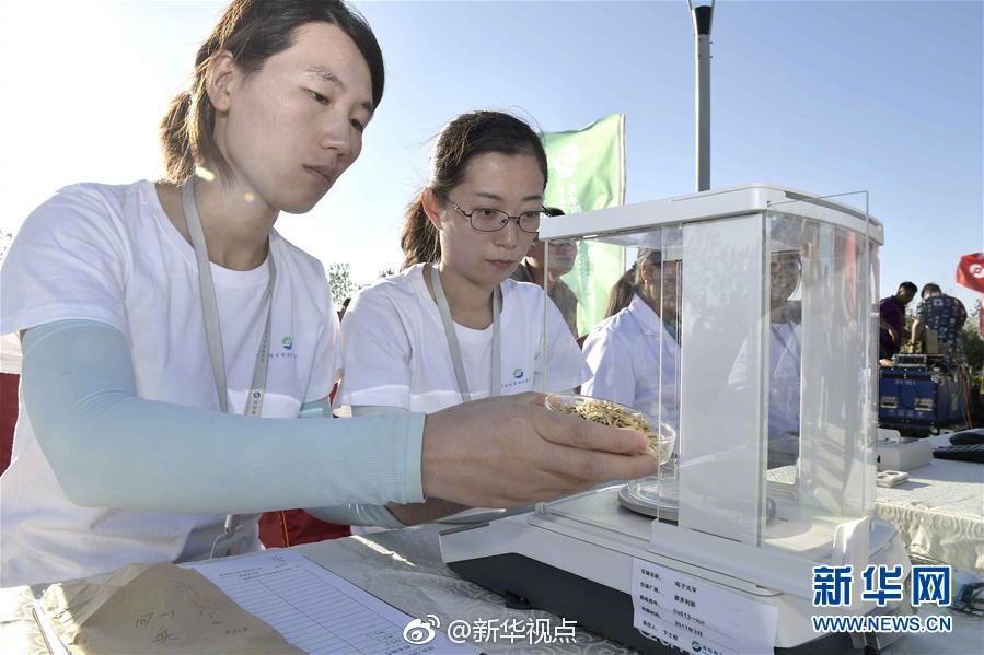 不良应用下载窗口没封2024