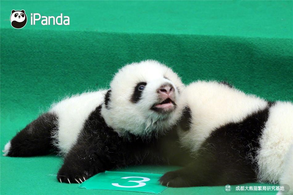 妓女的一夜性黄色片