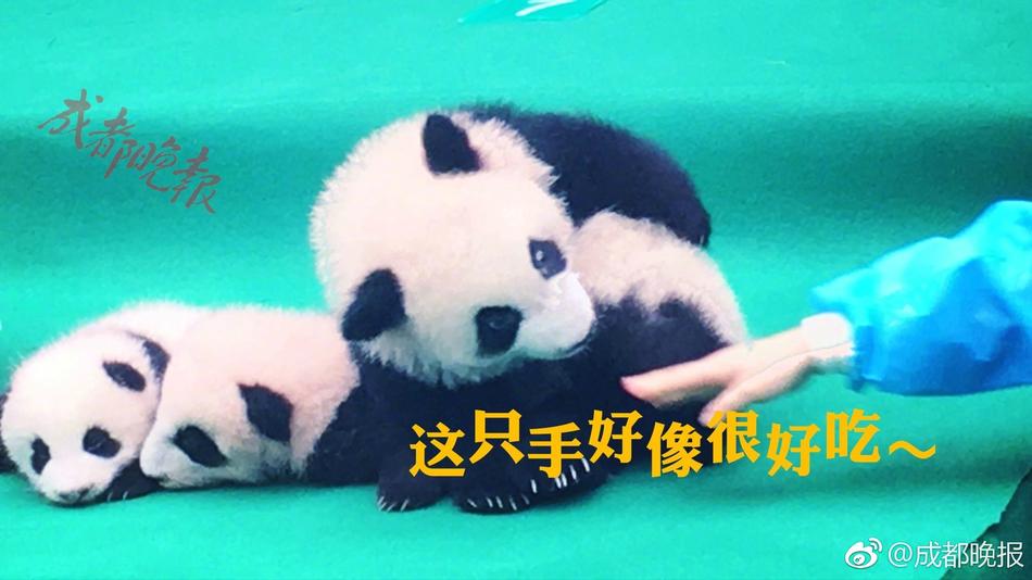 色情 集合