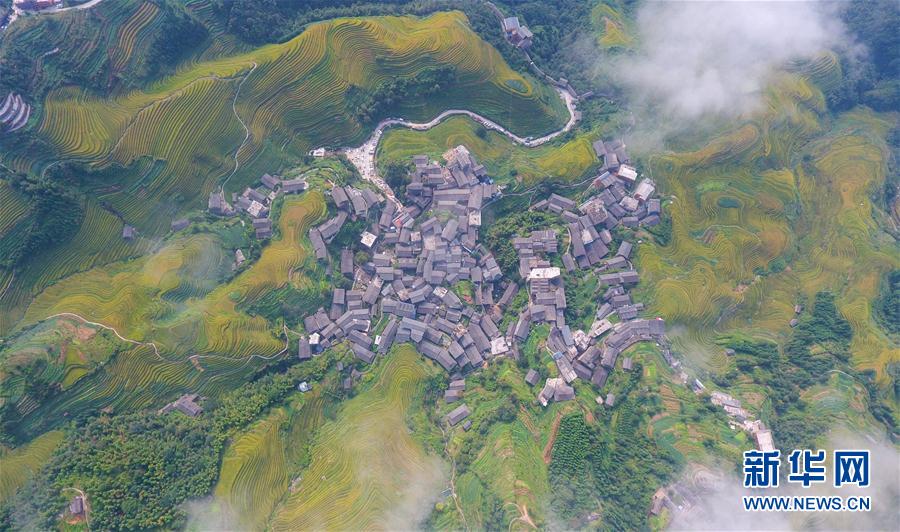18岁以下禁止下载