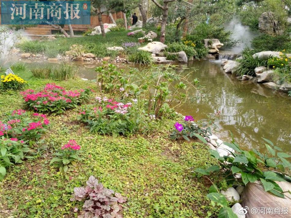 7799视频精品全部免费视频都是热门的吗