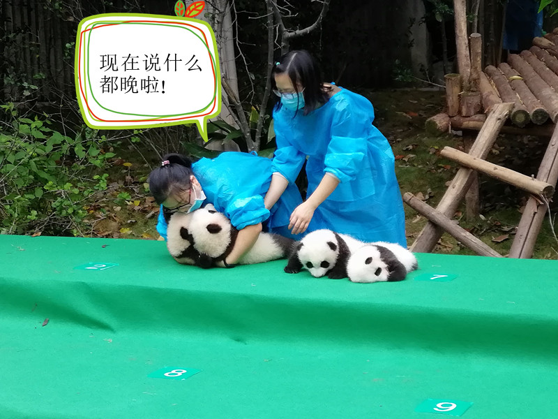 两个女人互摸自慰呻吟