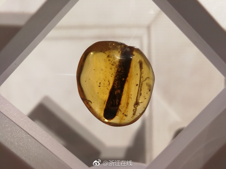 中国  免费XXXX18