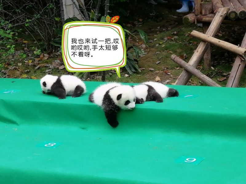 国产AV麻豆美艳房东MAD026
