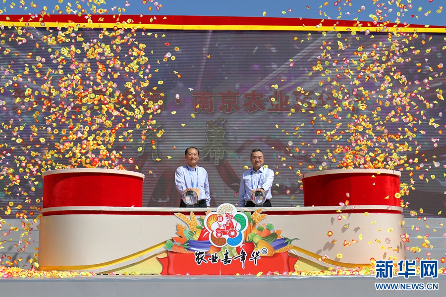 白木优子高潮在线播放