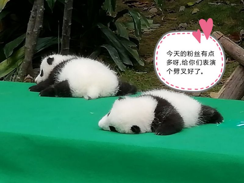 解开乳罩喂领导吃奶