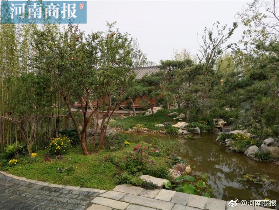 透明泳衣