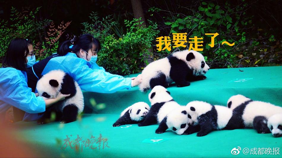 月經來
