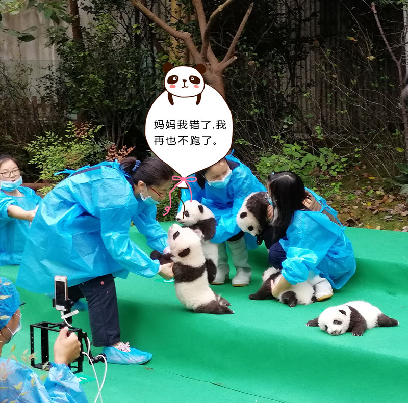 欧美变态乱伦