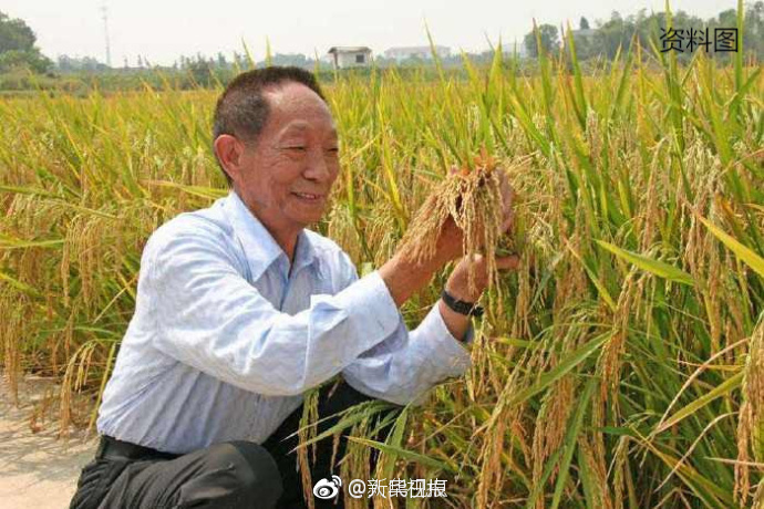 泰式按摩