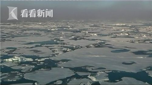三级片完整版欧美
