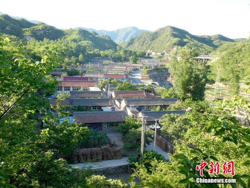 国产一区二区欧美