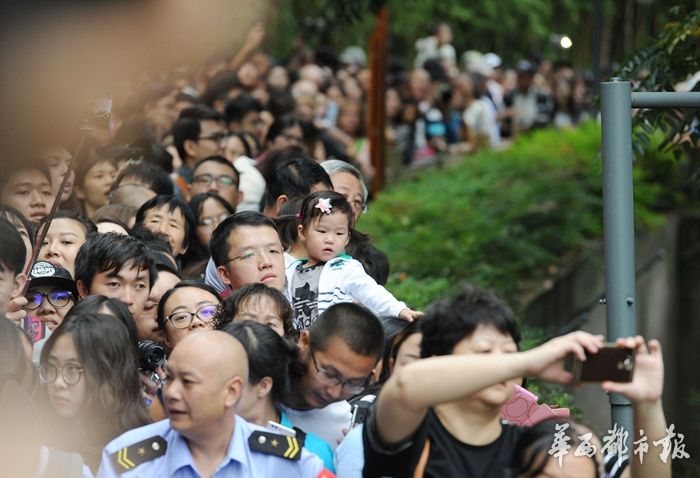 男人日女人的逼视频免费看