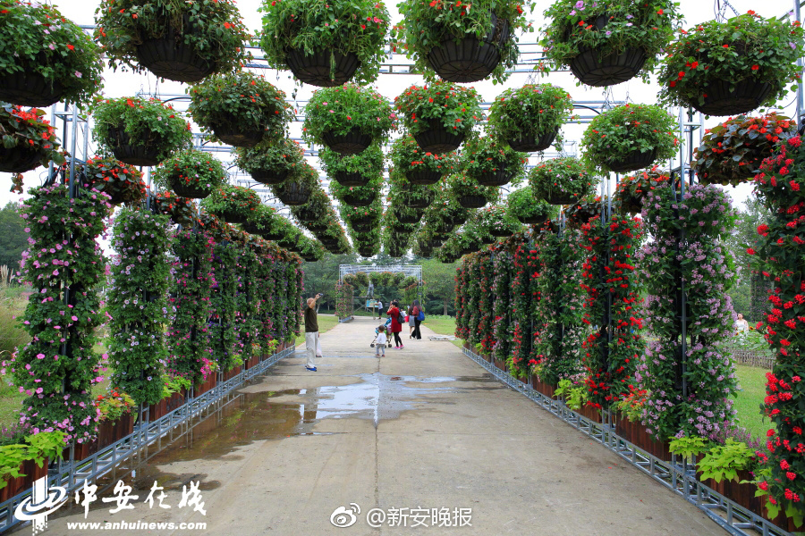 爱爱动态图后入式120秒试看