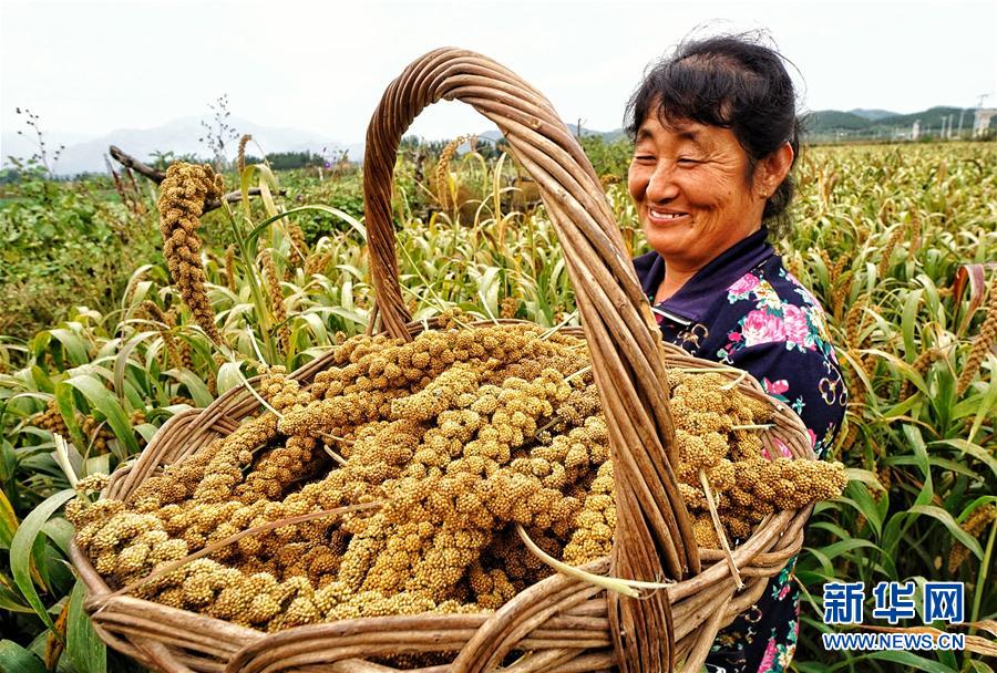 伊人玖玖