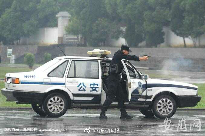 少妇淫Xx性片