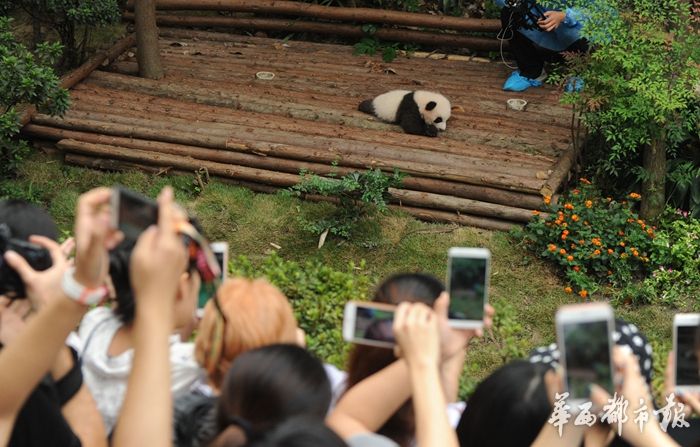 操逼的女人