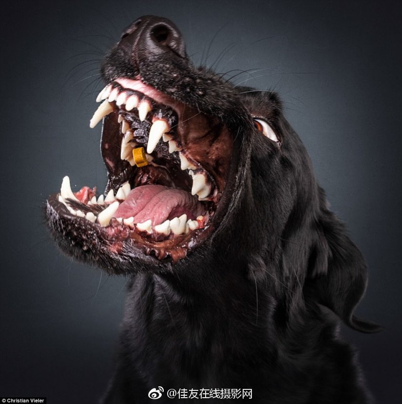 Free嫩白的性饥渴Hd