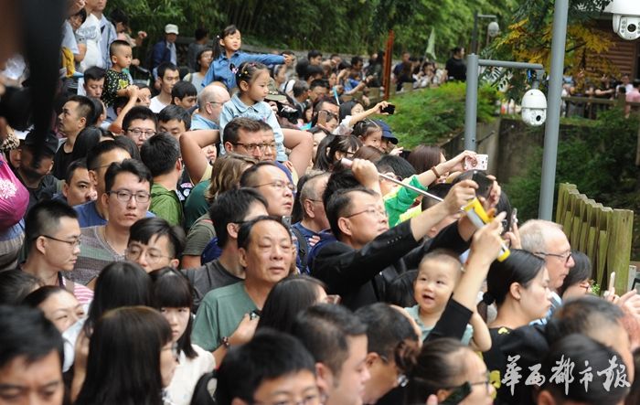 脱了内裤在阳台趴着被c