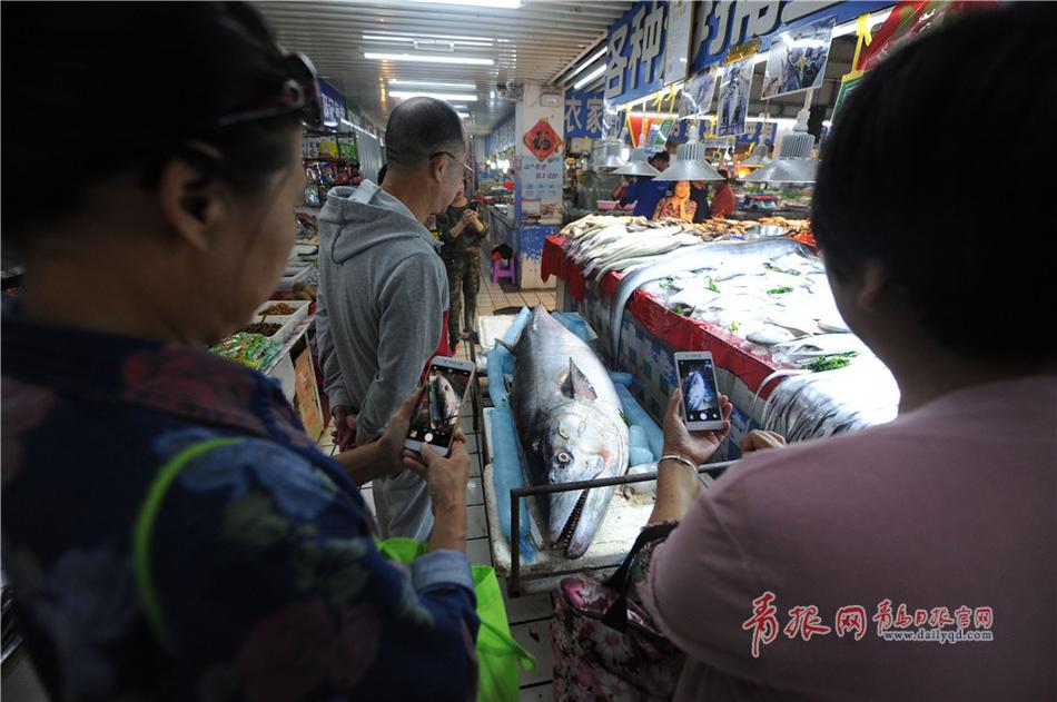 体育生自慰控精打飞