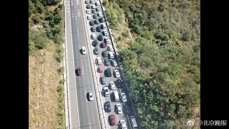 无码 成人 电影