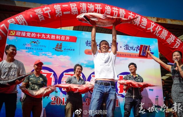 高清欧美性猛交