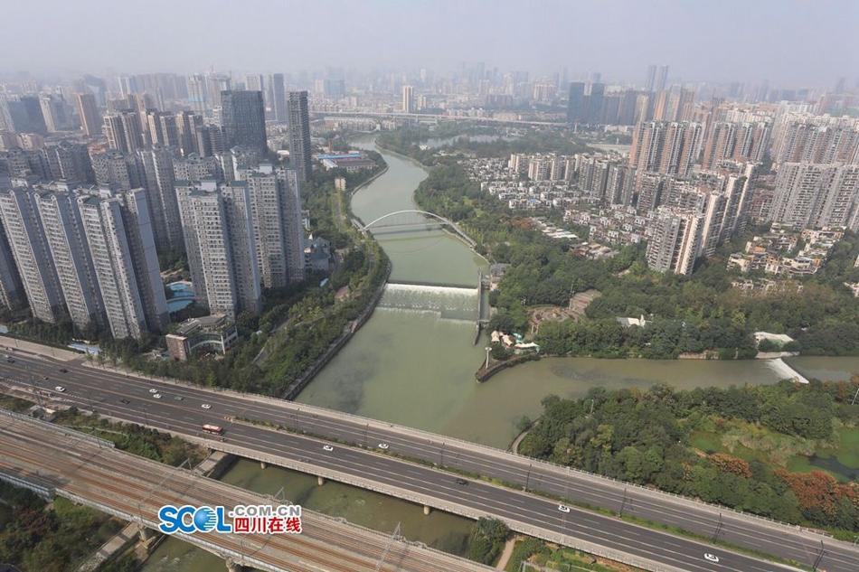 美国一级黄色片