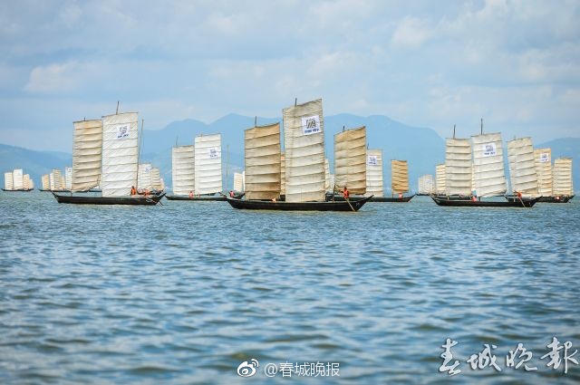 欧美疯狂抽插