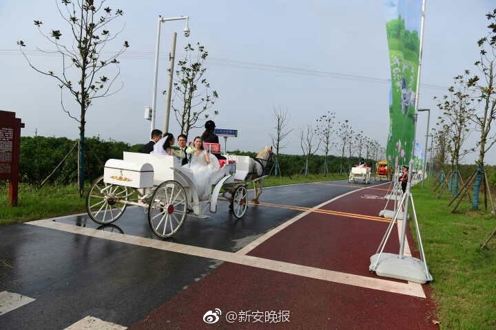 瑜珈教練