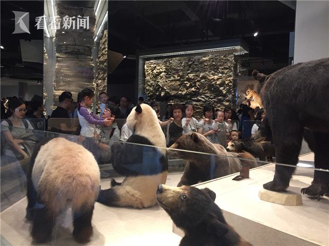黄色电影免费看片