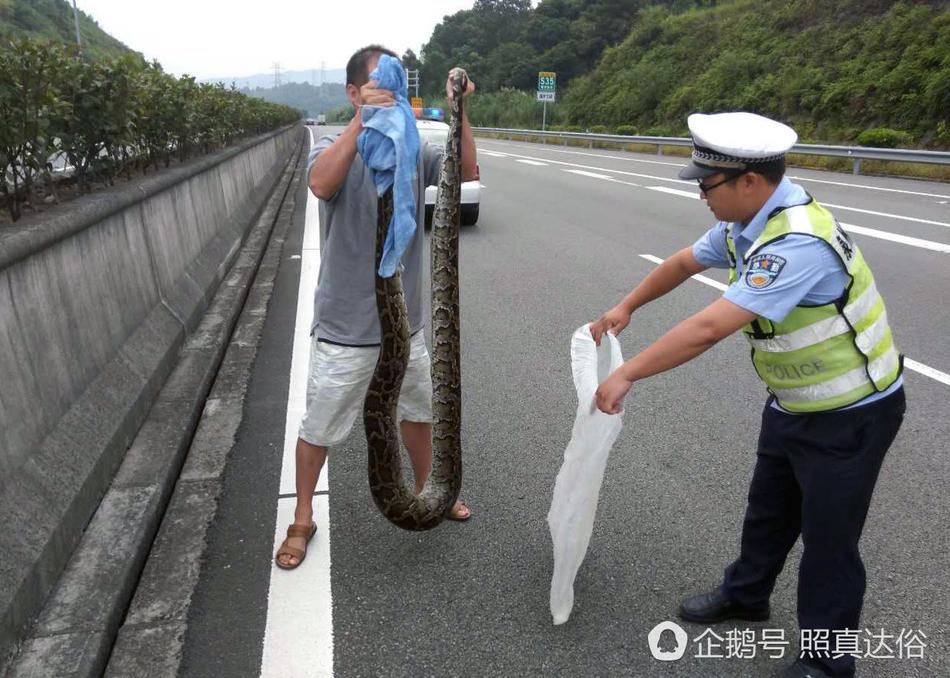 重口味孕妇三级片