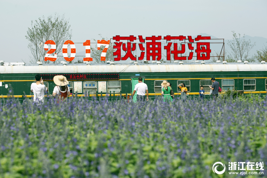 色综合天天综合网国产成人网
