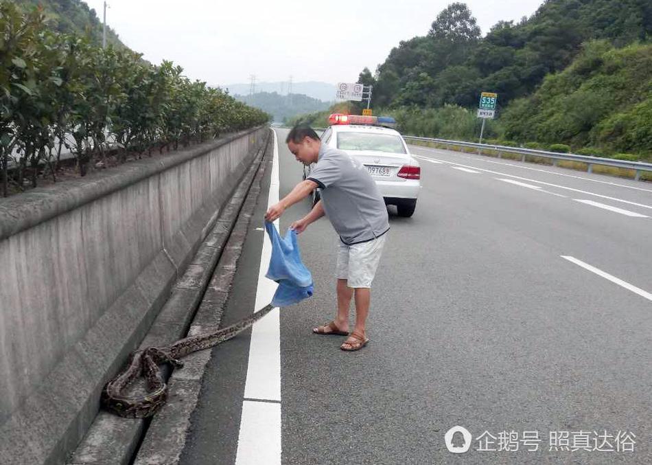 间谍过家家3