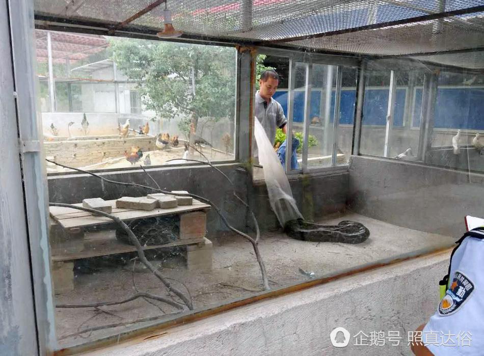 安悦溪