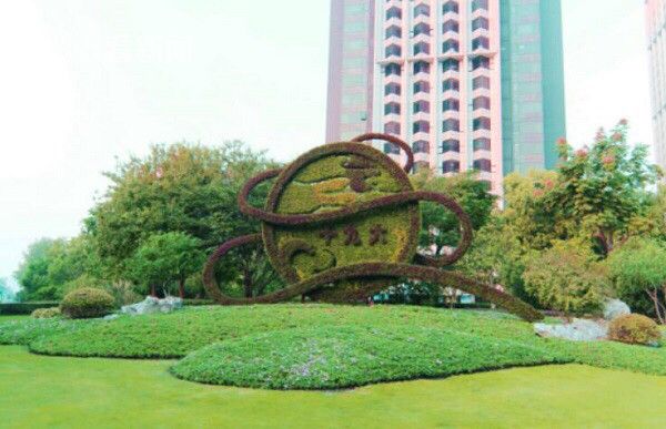 国产 在线观看免费视频