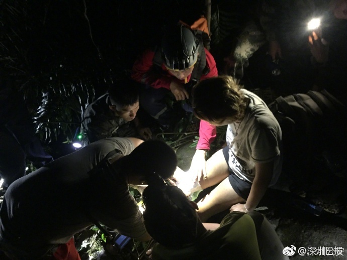 台湾伦理片在线碰视频