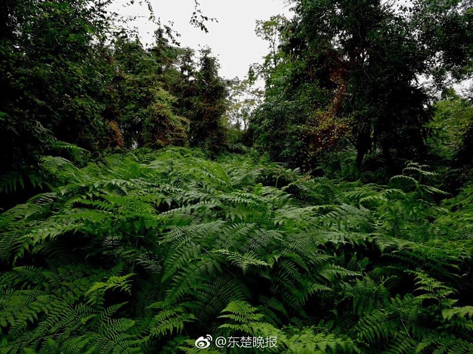 做爱 线 上 看