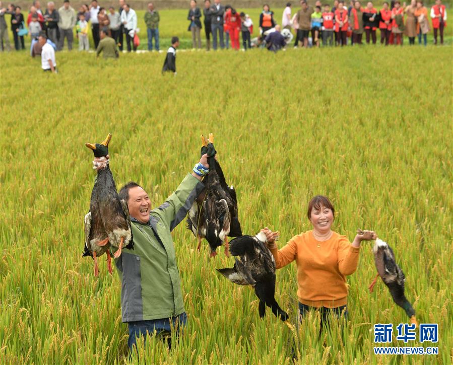 欧美色小说